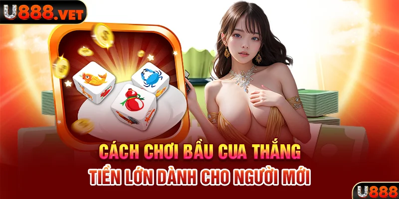 Cách chơi bầu cua thắng tiền lớn dành cho người mới