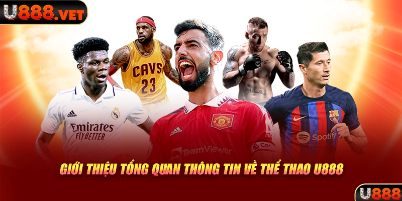 Giới thiệu tổng quan thông tin về thể thao U888