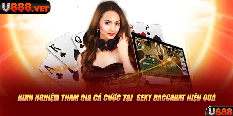 Kinh nghiệm tham gia cá cược tại  Sexy Baccarat hiệu quả 