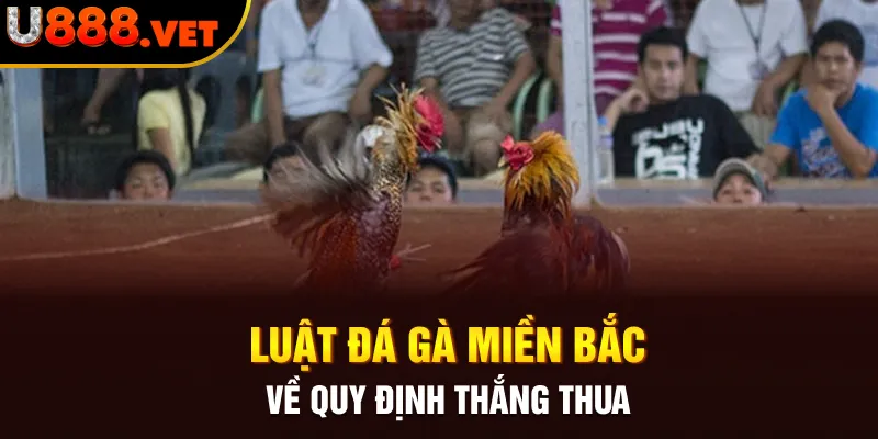 Luật đá gà miền Bắc về quy định thắng thua 