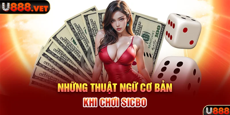 Những thuật ngữ cơ bản khi chơi Sicbo